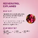 142596.webp