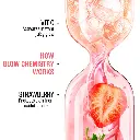 61WBASYhixL._SL1000_.webp