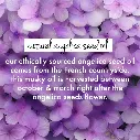 4_a92042d0-1b85-4f79-ba0a-00281289b0f8.webp