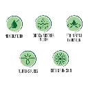 215518.webp